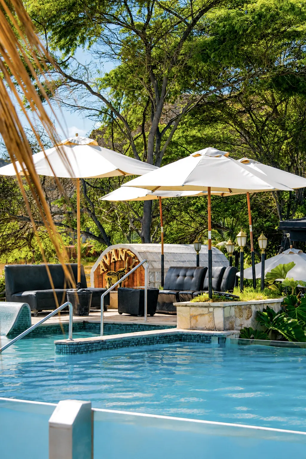 Piscina y áreas de descanso de Avanti